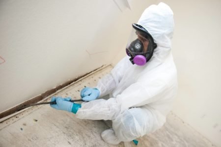 mold growth along a wall shown after inspection by complete property restoration